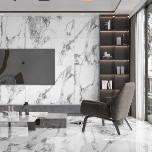 Jump Silver 12x24 Polished