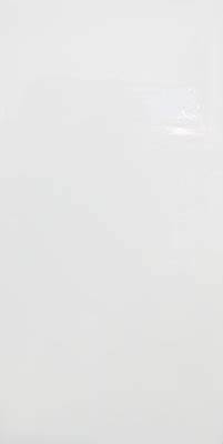 Dolphin Super White 24x48
