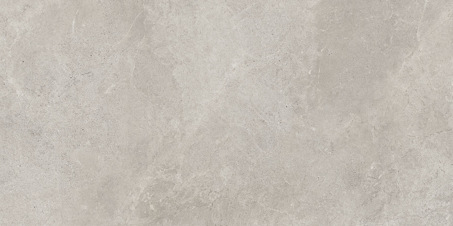 Cerdomus Imperial Stone Silver 24x48 Matte