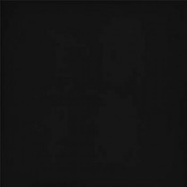 Dolphin Super Black 12″x12″ Polished