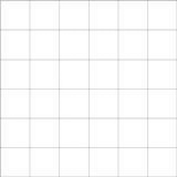 Dolphin Super White 2×2 Mosaic Polished