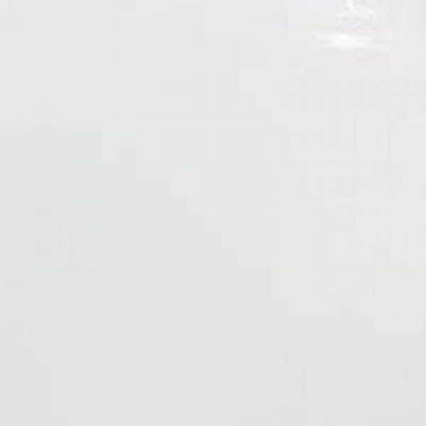 Dolphin Super White 24″x48″ Polished